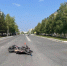 Дорожная хроника за 25 августа 2026 года - Городское поселение Октябрьское