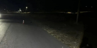 Пожилой водитель в Левокумском округе на трассе наехал на подростка - Телеканал СвоёТВ