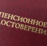 Средняя пенсия россиян выросла на 4,5 тысячи - SeverPost.ru