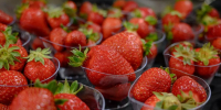 Злоумышленники создают поддельные магазины натуральных продуктов для хищения денег - Кубанские Новости