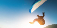 Россиянина два часа снимали с верхушки дерева в Индонезии - РТВ-Подмосковье
