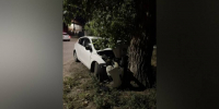 В Воронеже Mazda врезалась в дерево: пострадали 3 человека - РИА Воронеж