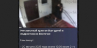 Контрабанда  270 тысяч долларов обошлась капитану в Новороссийске в 2 млн рублей штрафа - KrasnodarMedia