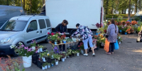 Осенние ярмарки пройдут в Великом Новгороде и округах региона  - Новгородское областное телевидение