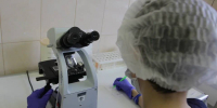 30 тысяч тонн волгоградской сои нового урожая исследовали эксперты - Газета Городские вести