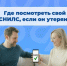 Где посмотреть свой СНИЛС, если он утерян? - Администрация г. Бердск