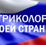 “Триколор моей страны” - Библиотеки Тамбовской области