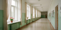 школьный коридор, цветы на подоконниках, занавески - Петрозаводск говорит