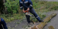 Последствия непогоды в Пыталовском районе - InformPskov.Ru