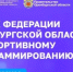Открыта регистрация на Кубок Федерации Оренбургской области по спортивному программированию - Кувандыкский городской округ