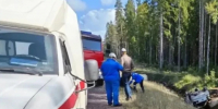 За сутки в Ленинградской области спасатели ликвидировали два пожара - Online47.Ru