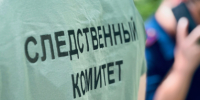В Новгородской области возбуждено уголовное дело по факту убийства местной жительницы - Следком Новгородской области