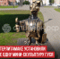 пост 5 - Cityopen.ru