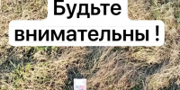 Брянцев предупредили о замаскированных под коробки и пакеты взрывных устройствах - Газета Брянские новости