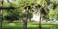 Красраб. Сибирский новостной портал - Газета Красноярский рабочий