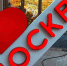 Как защитить машину и квартиру от крыс: советы для москвичей от доцента Финансового университета - MosRegToday.Ru