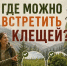 Осторожно,  клещи! - ГУ МЧС России