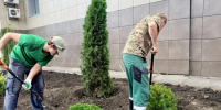 В горпарке Саратова начали высадку новых деревьев и кустарников - Четвертая Власть