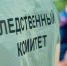 Пестовчанин ударил женщину ножом в грудь. - Новгородские Ведомости