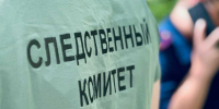 Пестовчанин ударил женщину ножом в грудь. - Новгородские Ведомости