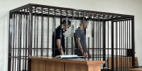 Трое жителей иностранного государства признаны виновными в приготовлении к контрабанде краснокнижных соколов-балобанов - Газета Звезда Алтая