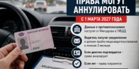 Эпидемия боли, о которой молчат. Врач раскрыла масштаб проблемы таинственного эндометриоза - IrkutskMedia.Ru