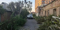 Ущерб от урагана в Ростове оценили почти в 50 млн рублей - Панорама