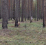 Фото из группы - Вологда-поиск