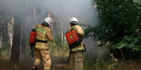 Противопожарная кампания «Останови огонь» продолжится в Белгородской области - Сетевое издание Газета-Заря 31