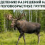 Опубликованы протоколы результатов жеребьёвок по распределению разрешений на добычу лося (все половозрастные группы) - Госохотдепартамент Тюменской области