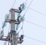Свыше 500 человек в Порховском округе остаются без электричества - Pln-Pskov.Ru