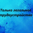 Легальная занятость. - Администрация Алтайского района