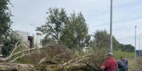 Последствия шторма на спортивных объектах ликвидировали в Пскове - InformPskov.Ru