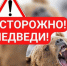 Осторожно: медведи!. - Красногорский район