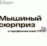Профилактика геморрагической лихорадки с почечным синдромом (ГЛПС) - Городецкий муниципальный округ