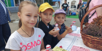 Фестиваль «Челябинская область — большая семья» - Музейно-выставочный центр