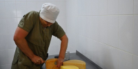 В Адыгее цены на сыры стали ниже, благодаря развитию местных производств - ИА Адыгея Сегодня