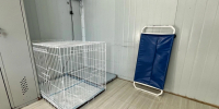 Дончане на вакцину не жаловались | Источник: Елена Буйвол / VLADIVOSTOK1.RU - 161.Ru