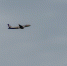 В аэропортах запустили приоритетный маршрут для пассажиров - Сетевое издание Живем в Нижнем