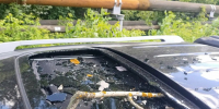 В Рязани сухой тополь рухнул на проезжающий автомобиль - ИА Малая Родина