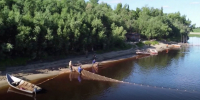В Шурышкарском районе на исходе лета начался массовый вылов пыжьяна на Оби - ГТРК Ямал