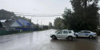 В Горно-Алтайске водитель сбил 18-летнюю девушку на пешеходном переходе - Комсомольская Правда