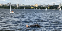 IMG_6741.jpeg+2026-08-26-13.51.58+niz.jpg - Gorod48.ru