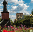 Озеленители Белгорода раскрыли секреты оформления клумб в центре города - Сетевое издание Победа 31