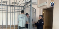 В Курске арестовали обвиняемого в убийстве матери подростка - M24.Ru