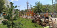 На проспекте Металлургов уложили более 6 тыс. кв. метров газона - Volganet.Net