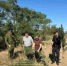 На территории Пролетарского района проведен третий этап акции "Единый день борьбы с дикорастущей коноплей" - Пролетарский район