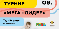Ipsum - Федерация шахмат