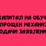 Оплатить обучение материнским капиталом в Липецкой области стало проще - Народное слово