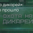Поделитья во ВКонтакте - Братская Студия Телевидения